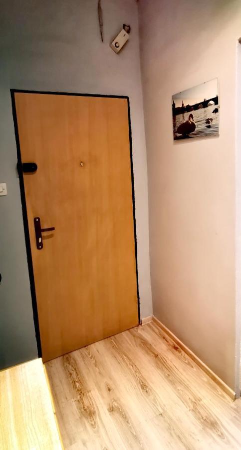 Apartament Milka W Dusznikach Zdroju Душники-Здруй Экстерьер фото